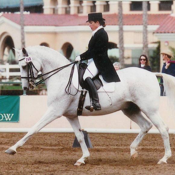 lkmdressage
